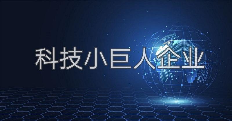 科技小巨人是什么？廣州市企業(yè)科技小巨人怎么認證申請