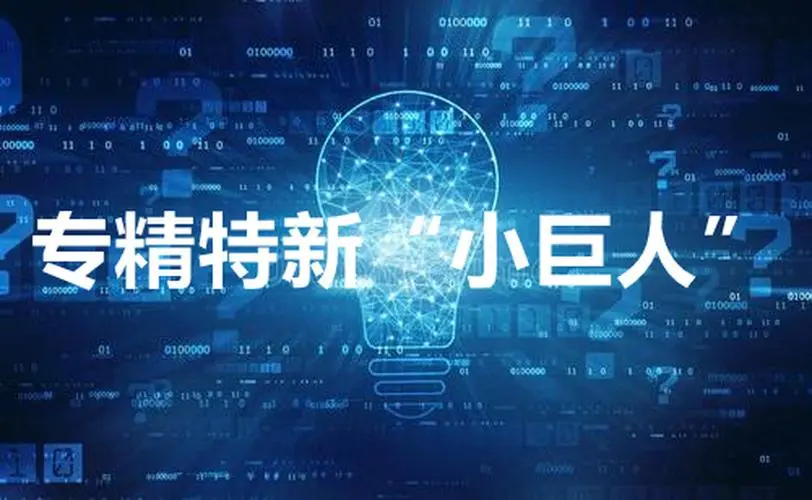 【詳細】專精特新企業(yè)申報流程、條件、領(lǐng)域